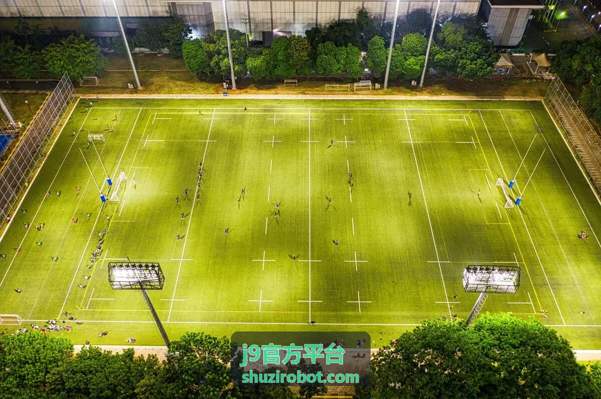 j9官方平台自动化流程运行记录界面